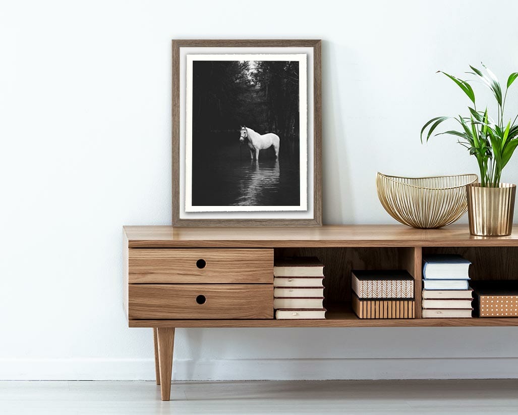 black and white photo of white horse on top of book stand